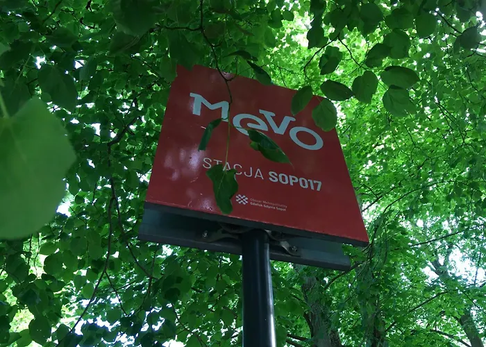 Przytulny Blisko Lasu Z Szybkim Wi-fi 公寓 索波特